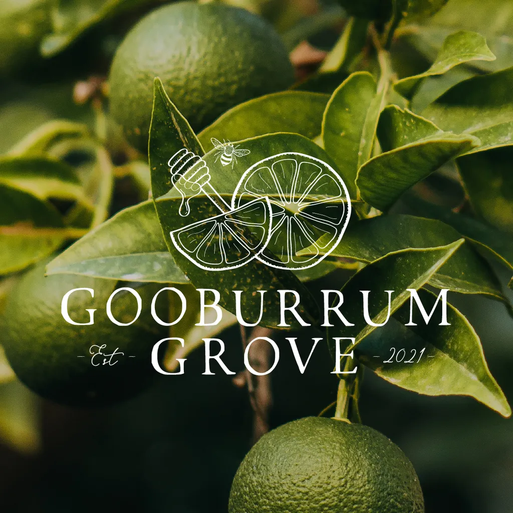 Fine foods business logo design - mockup on close-up image of lime tree branch